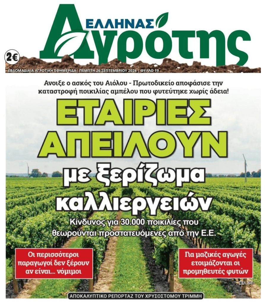 agrotis