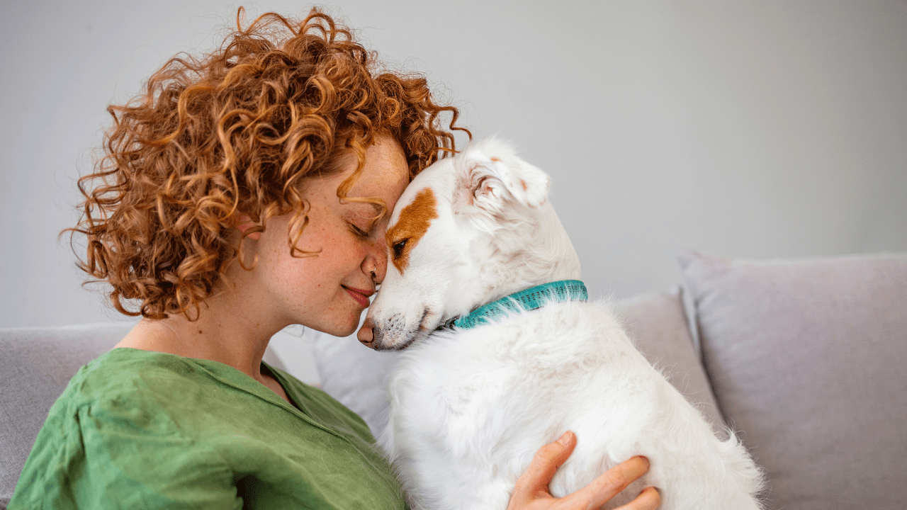 Ασφάλιση κατοικιδίων: Η νέα τάση που ήρθε για να μείνει