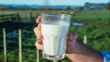 Οι επιχειρηματίες του κλάδου προειδοποιούν: «Το γάλα κινδυνεύει να εκτοξευθεί σαν το φυσικό αέριο»