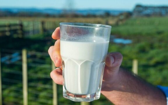 Οι επιχειρηματίες του κλάδου προειδοποιούν: «Το γάλα κινδυνεύει να εκτοξευθεί σαν το φυσικό αέριο»