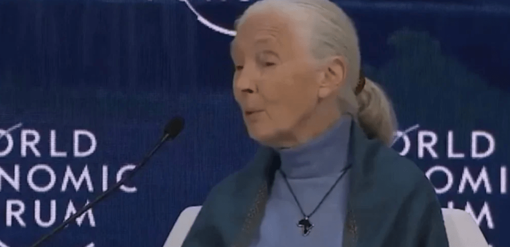 Τι δεν καταλαβαίνεις;; Για να «σωθούμε» πρέπει να “χαθούν”…7 δις άνθρωποι