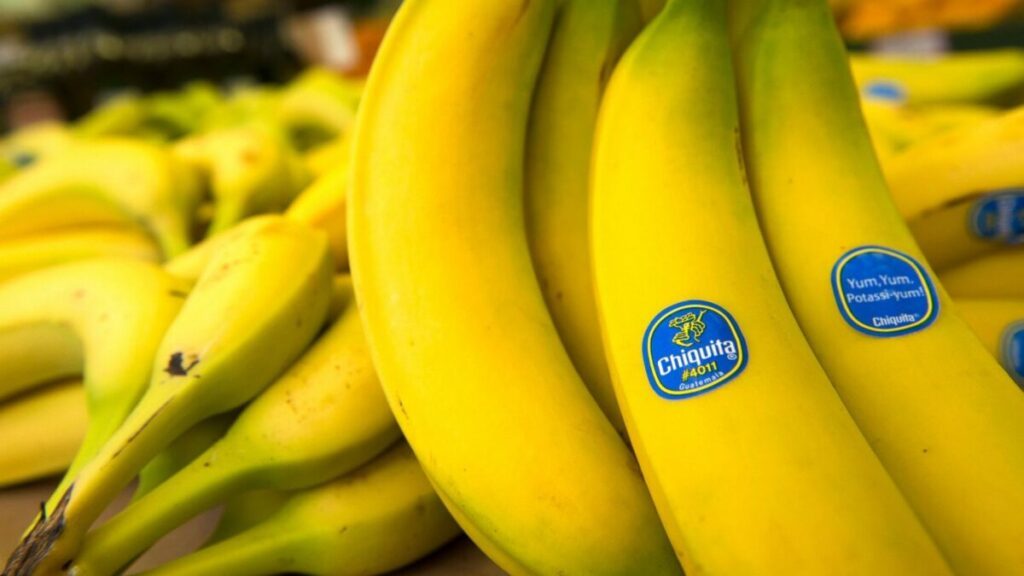 Η Chiquita απέλυσε όλους τους εργάτες της στον Παναμά