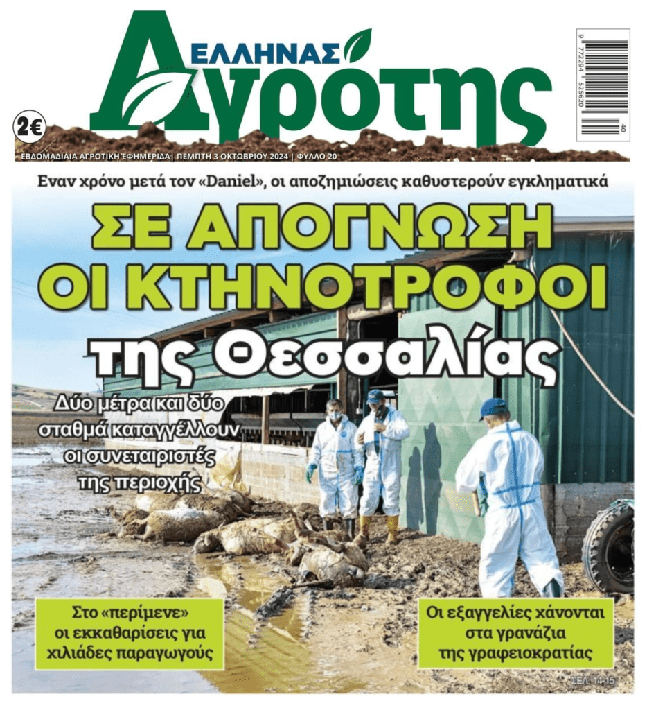 Σε απόγνωση οι κτηνοτρόφοι της Θεσσαλίας