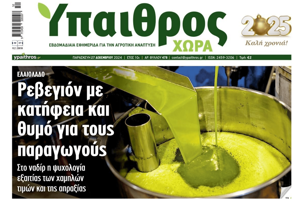Ελαιόλαδο: Κατήφεια και θυμός από τους παραγωγούς...