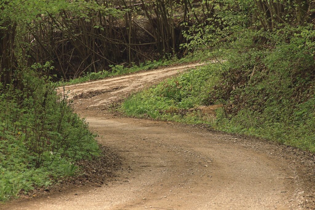 Πάτησες σε απαγορευμένο χωματόδρομο με το αυτοκίνητο σου; Αυτό είναι το πρόστιμο που θα πληρώσεις