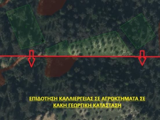 Το πάρτι της απάτης με τις αγροτικές επιδοτήσεις και στην Εύβοια 2 1 1061