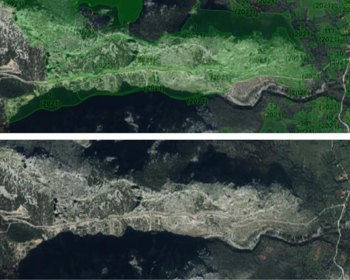 Το πάρτι της απάτης με τις αγροτικές επιδοτήσεις και στην Εύβοια 3 2 769