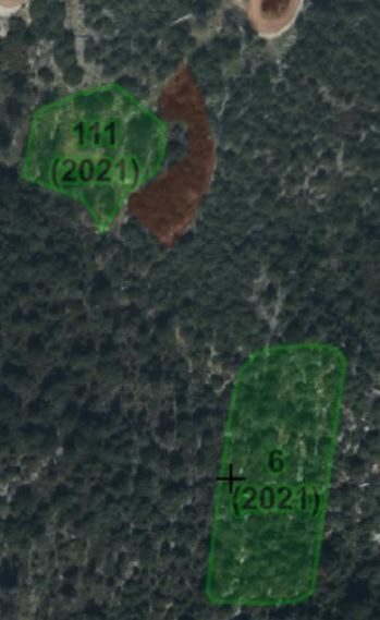 Το πάρτι της απάτης με τις αγροτικές επιδοτήσεις και στην Εύβοια 9 7 114