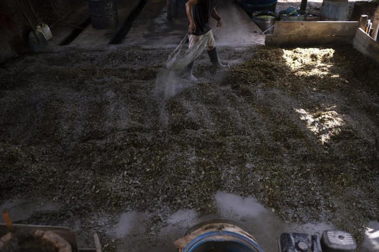 Τσουνάμι κοκαΐνης απειλεί τον κόσμο 2 kokkaini2