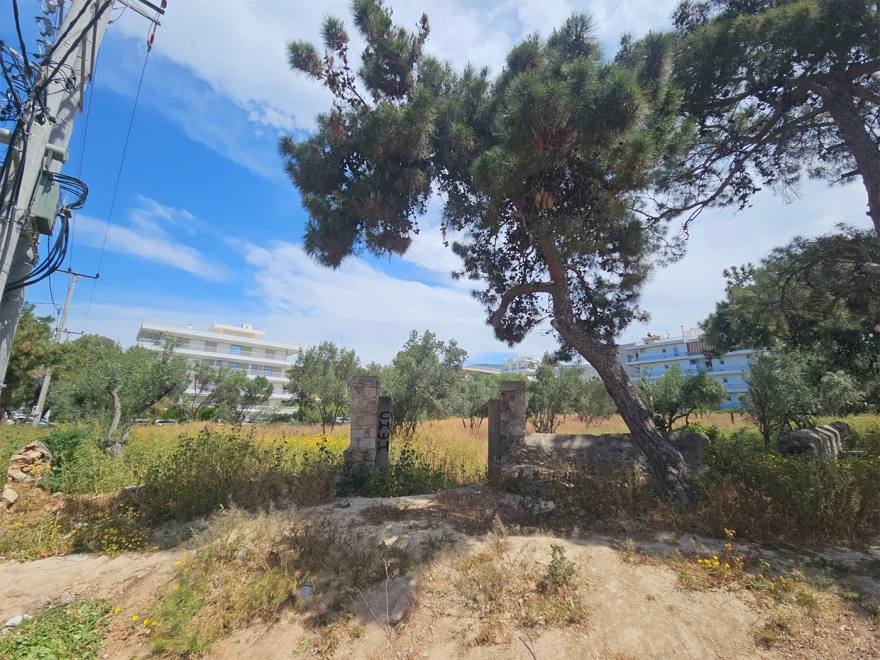 Πώς αρπάζουν τα φιλέτα με χρησικτησία... 1 oikopeda 2