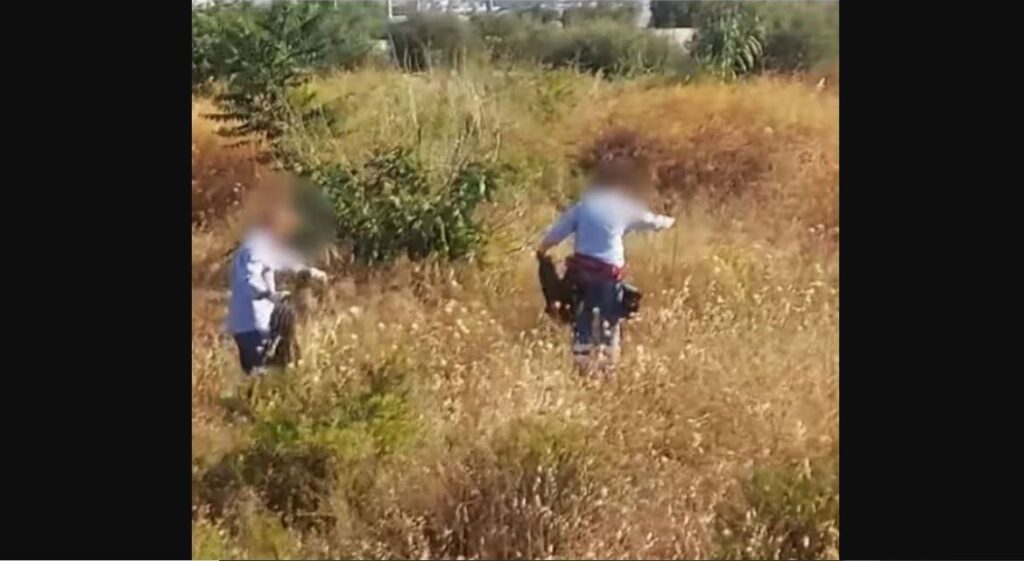 Η στιγμή που άνδρες της ΕΛΑΣ και ΔΕΔΔΗΕ ξηλώνουν καλώδιο 150 μέτρων από καταυλισμό Ρομά στην Μάνδρα