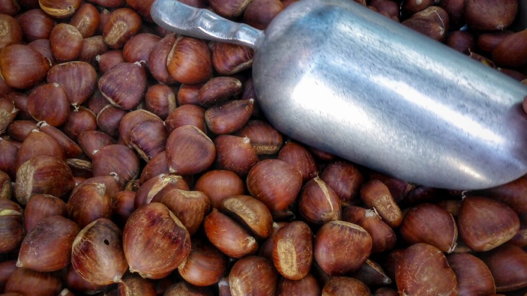 “Φωτιά” και τα κάστανα: Πώς εκτοξεύεται η τιμή από το χωράφι στο μανάβικο