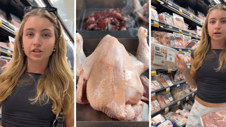 Η «απάτη» με τα βιολογικά κοτόπουλα – Πώς το νερό και το χλώριο φτάνουν στο πιάτο μας