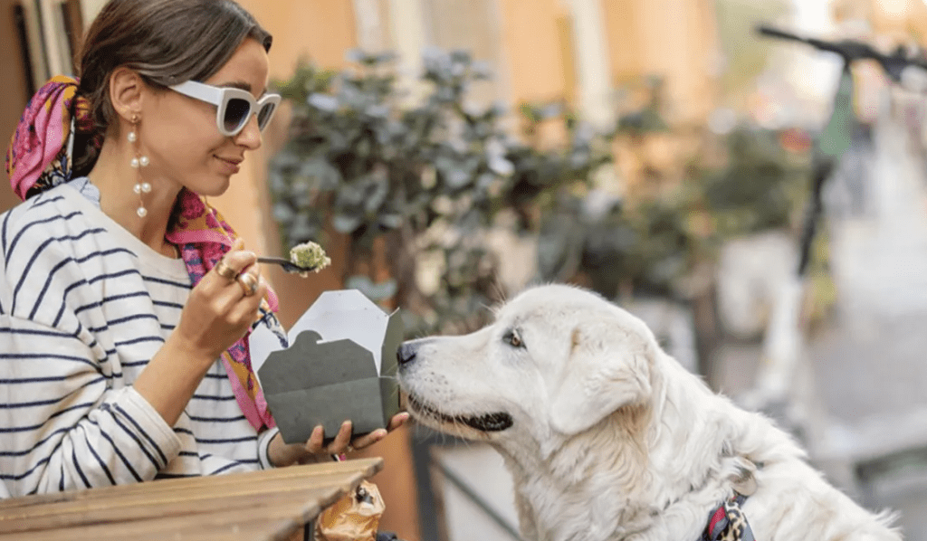 Ιταλία: Περισσότερα τα κατοικίδια από τα… μωρά