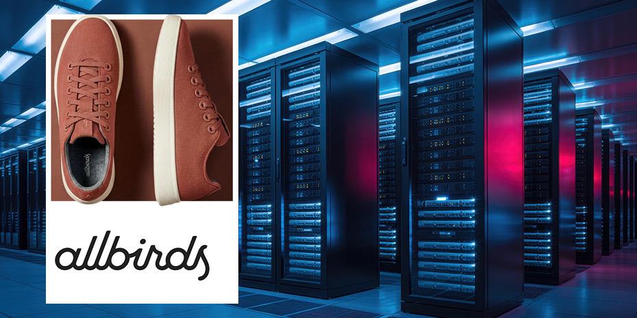 Allbirds γίνεται NewBird AI: Από τα οικολογικά παπούτσια στο AI με άλμα 582% στη μετοχή