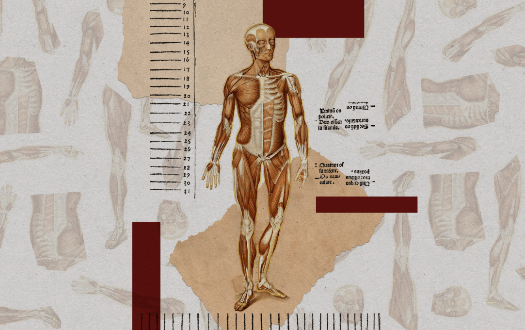 Δημιουργούν ανθρώπινα σώματα χωρίς εγκέφαλο για πειραματισμούς...