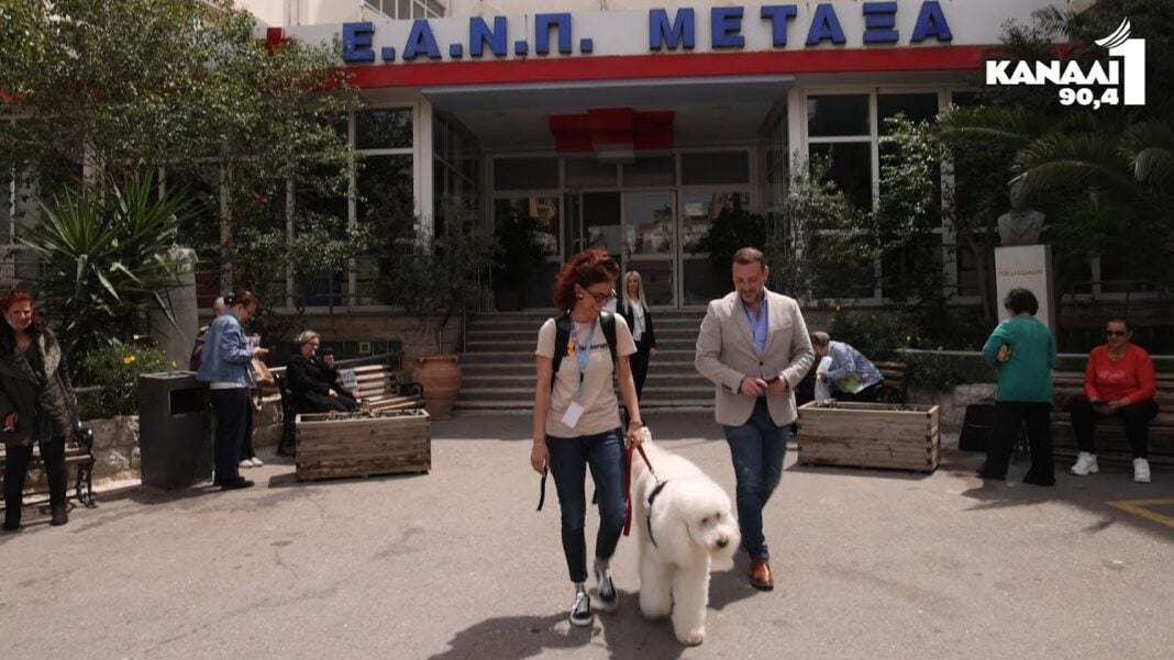 Ντύλαν: Ο πρώτος «μόνιμος» σκύλος θεραπείας στο ΕΣΥ