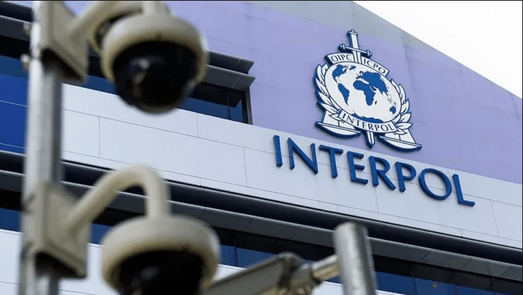 Παγκόσμια επιχείρηση της Interpol: 5.800 συλλήψεις και 300 εκατ. δολάρια κατασχέσεις σε δίκτυα διαδικτυακής απάτης