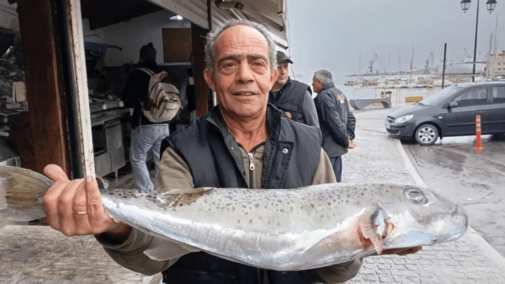 Ηράκλειο: “Αυτά θα μας φάνε ζωντανούς”… “Έβγαλε” 18 κιλά λαγοκέφαλο!