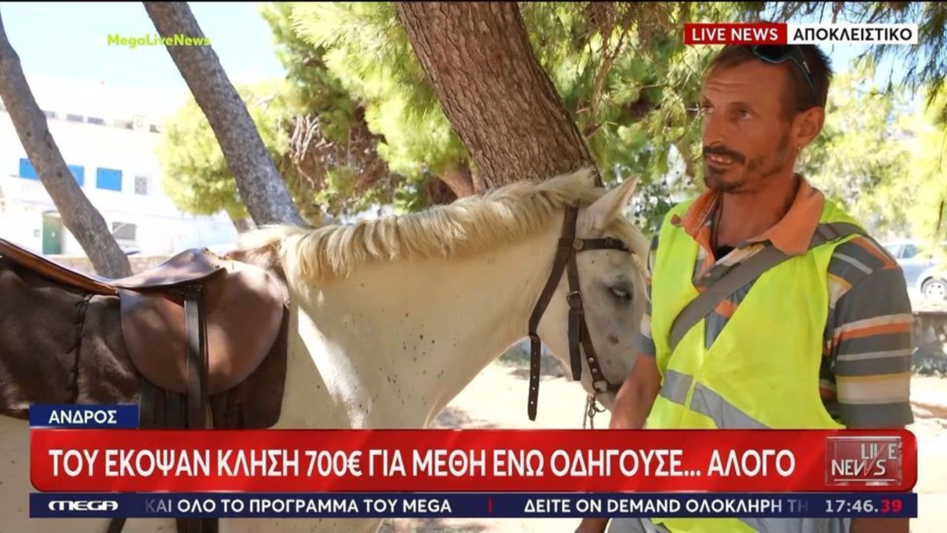Άνδρος: «Έφαγε» πρόστιμο 700 ευρώ επειδή καβάλησε άλογο μεθυσμένος!